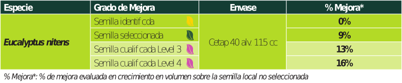 grafico-eucalyptus-nitens-800